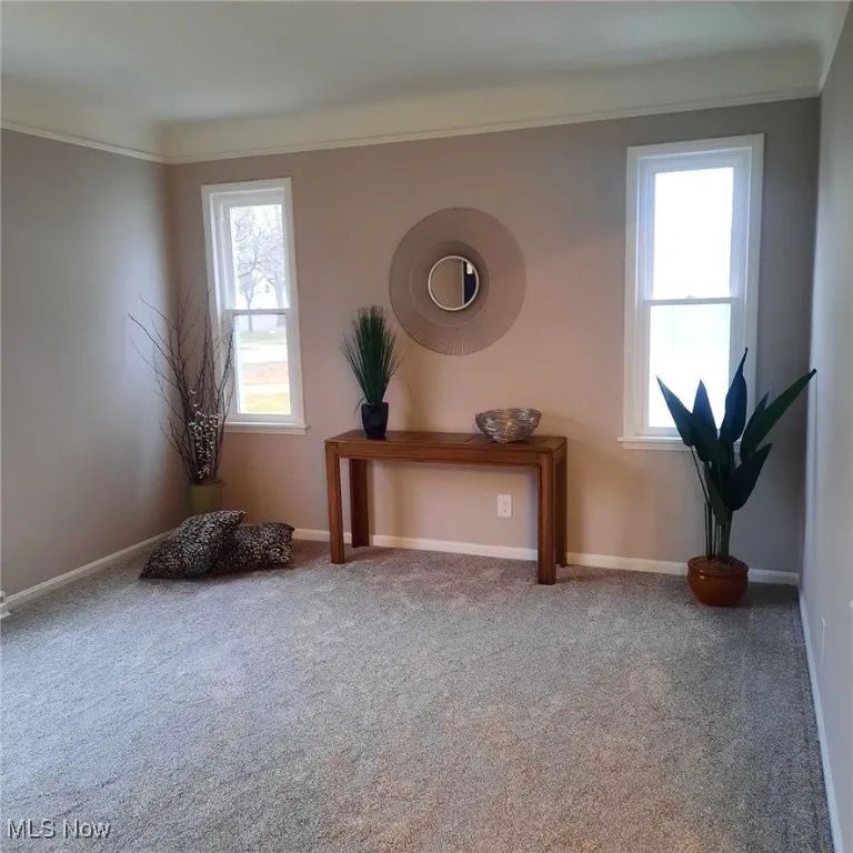 Living Room is Newly Carpeted and freshly painted with new windows, all ready for Relaxing & Entertaining