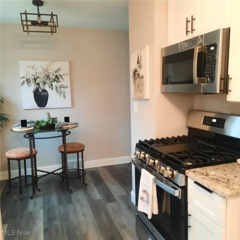 Kitchen with appliances with stainless steel finishes, dark wood-style flooring, and white cabinetry.