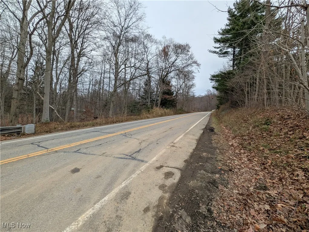 Thwing Road, Chardon, Ohio 44024,MLS Now Listing ID