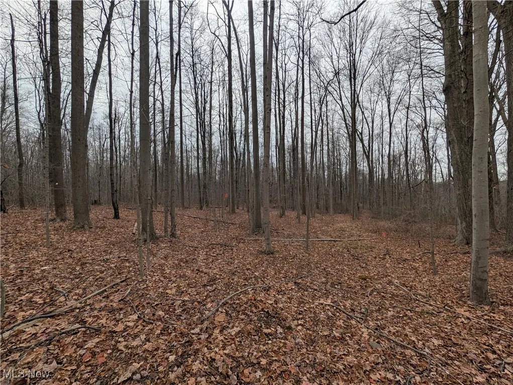 Thwing Road, Chardon, Ohio 44024,MLS Now Listing ID