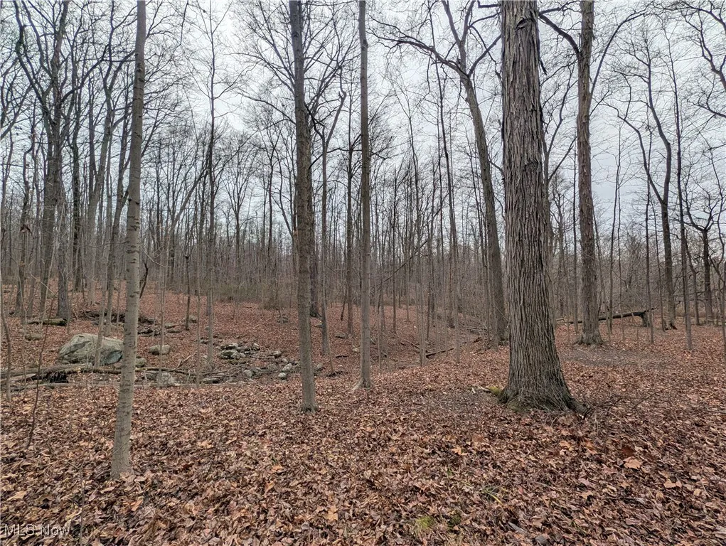 Thwing Road, Chardon, Ohio 44024,MLS Now Listing ID