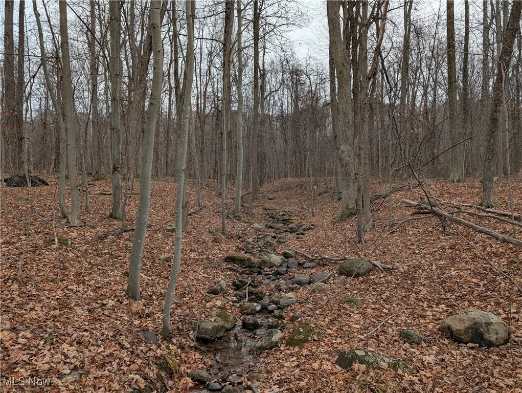 Thwing Road, Chardon, Ohio 44024,MLS Now Listing ID