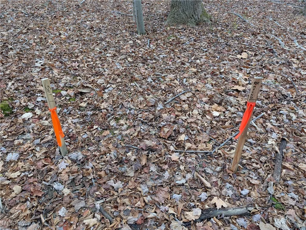 Thwing Road, Chardon, Ohio 44024,MLS Now Listing ID