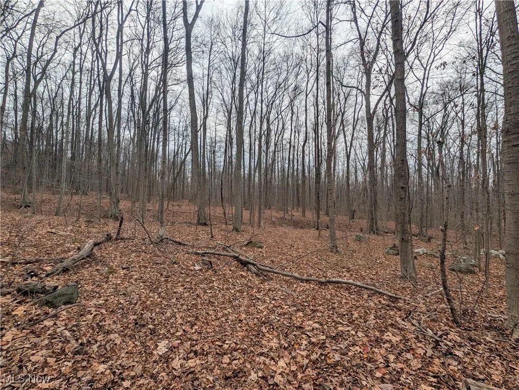 Thwing Road, Chardon, Ohio 44024,MLS Now Listing ID