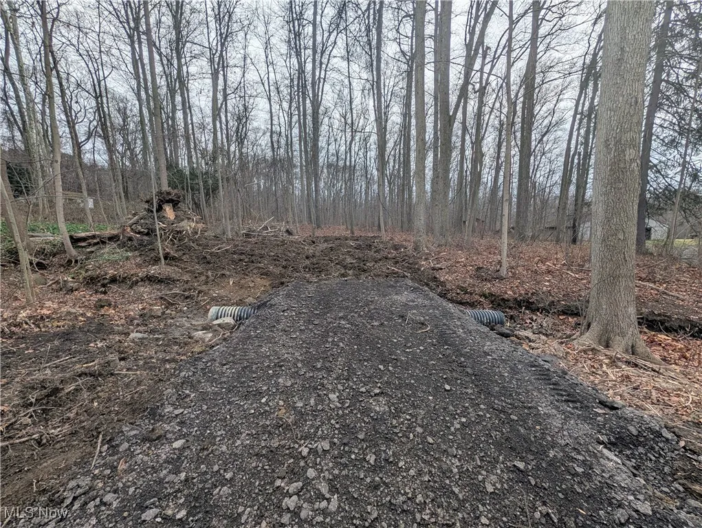 Thwing Road, Chardon, Ohio 44024,MLS Now Listing ID