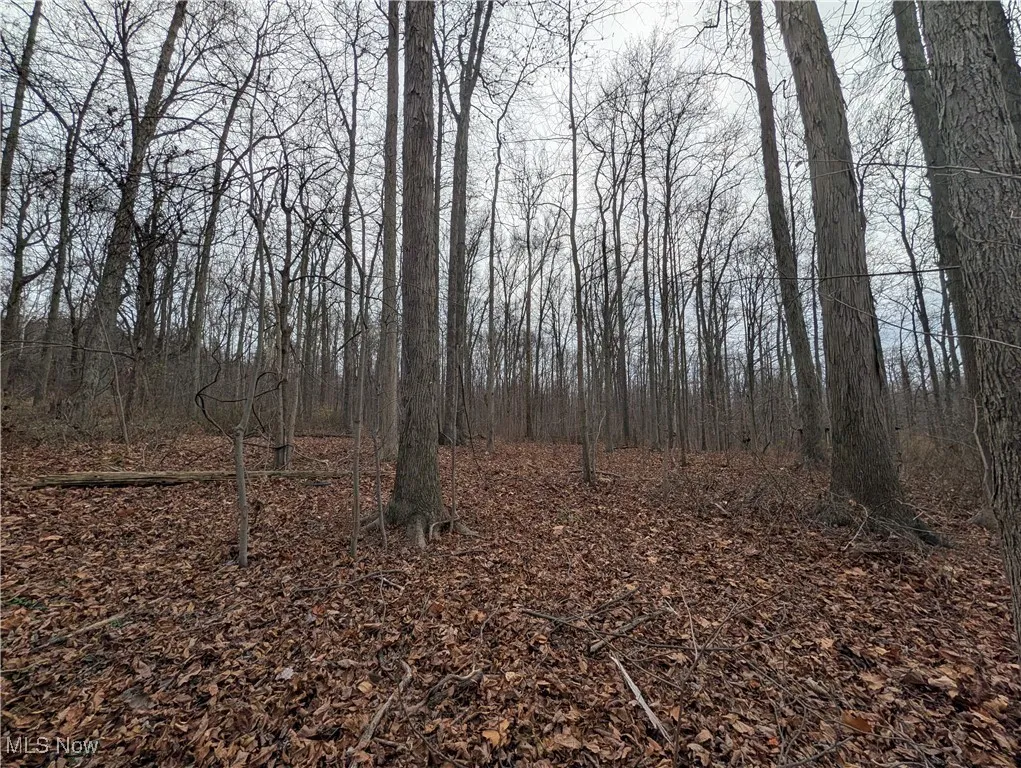 Thwing Road, Chardon, Ohio 44024,MLS Now Listing ID