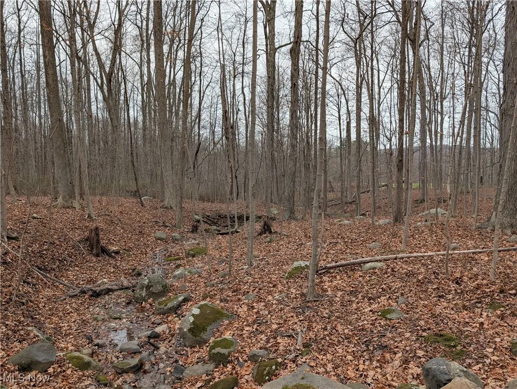 Thwing Road, Chardon, Ohio 44024,MLS Now Listing ID