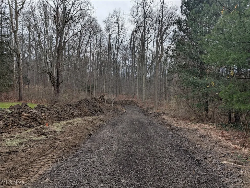 Thwing Road, Chardon, Ohio 44024,MLS Now Listing ID