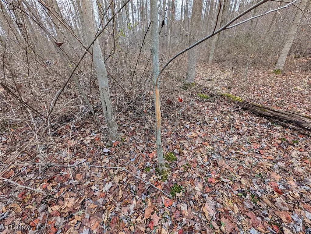 Thwing Road, Chardon, Ohio 44024,MLS Now Listing ID