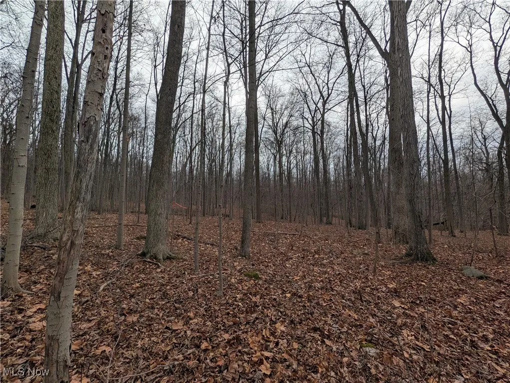 Thwing Road, Chardon, Ohio 44024,MLS Now Listing ID