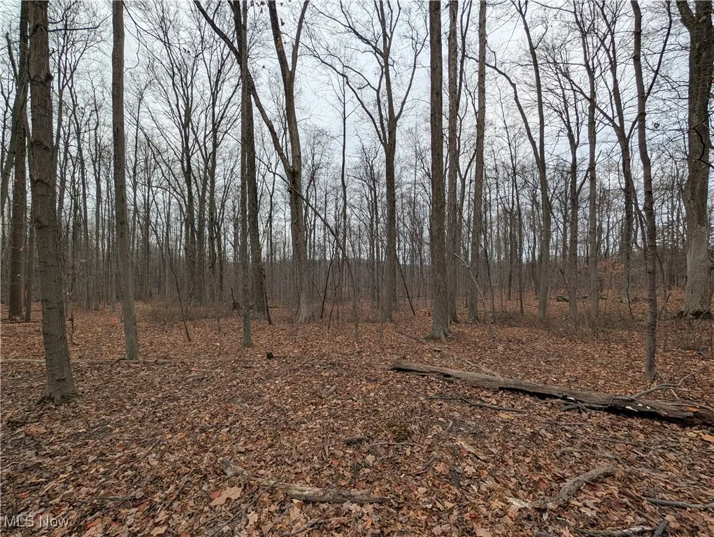 Thwing Road, Chardon, Ohio 44024,MLS Now Listing ID