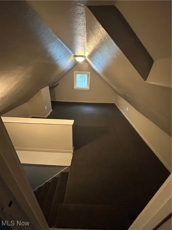 Additional living space featuring a textured ceiling, lofted ceiling, and carpet floors