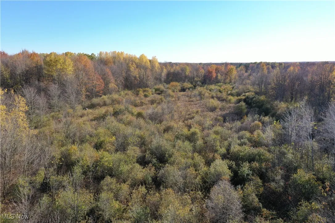 Brockway Road, Rome, Ohio 44085,MLS Now Listing ID