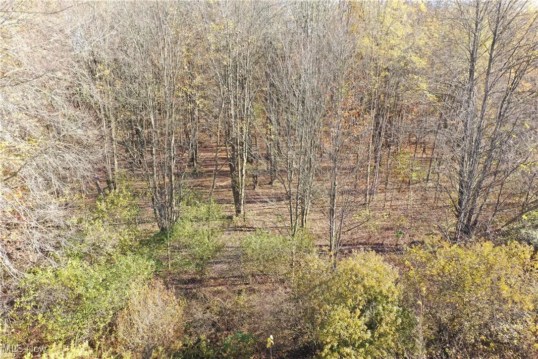 Brockway Road, Rome, Ohio 44085,MLS Now Listing ID