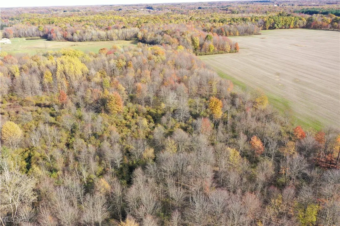 Brockway Road, Rome, Ohio 44085,MLS Now Listing ID