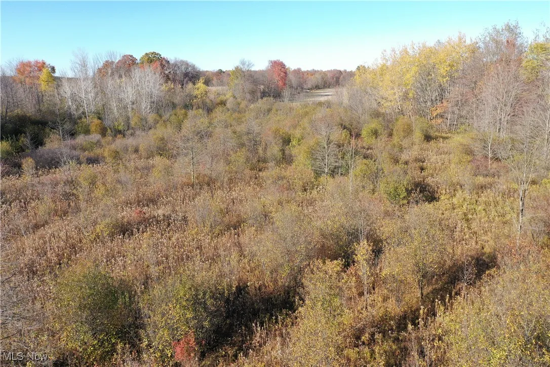 Brockway Road, Rome, Ohio 44085,MLS Now Listing ID