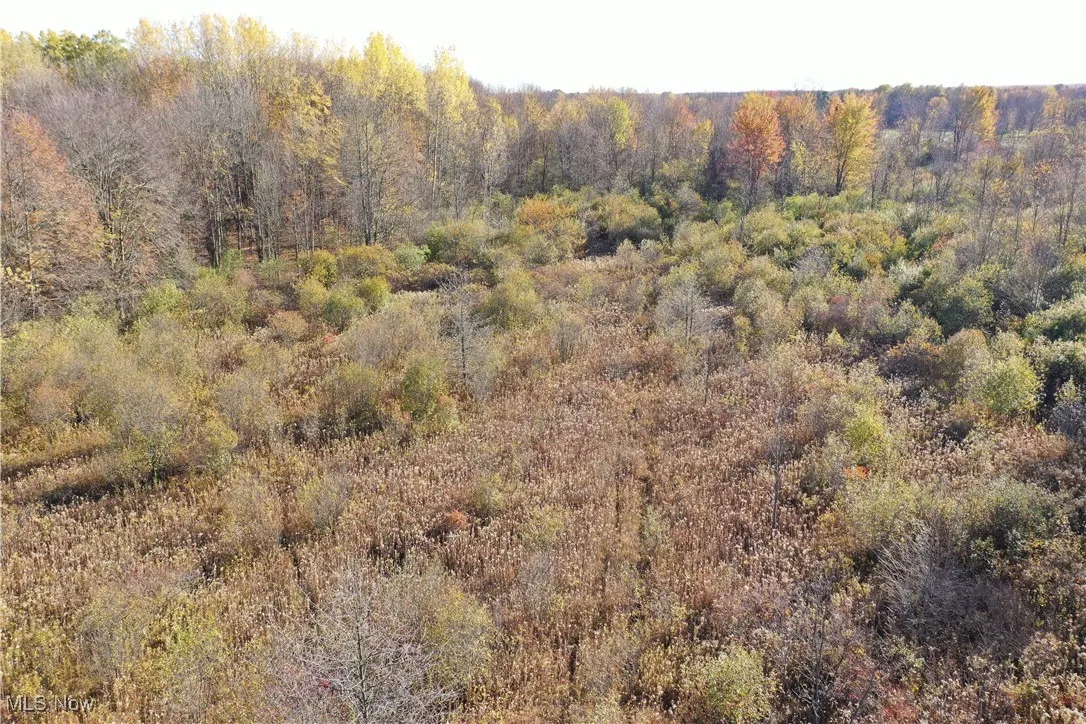 Brockway Road, Rome, Ohio 44085,MLS Now Listing ID