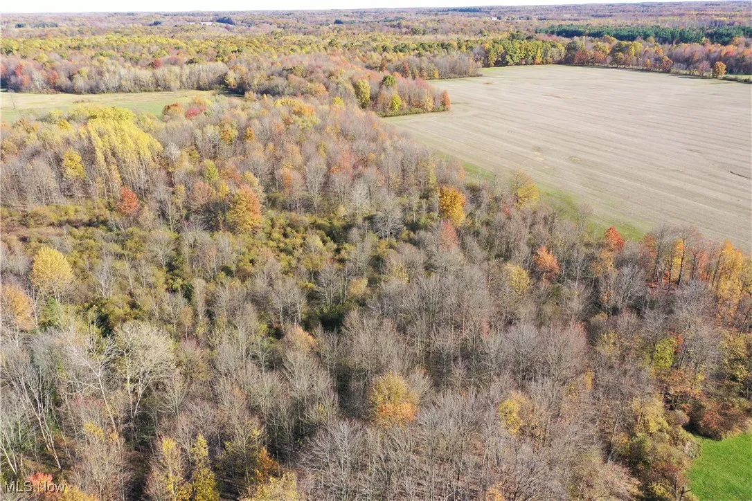 Brockway Road, Rome, Ohio 44085,MLS Now Listing ID