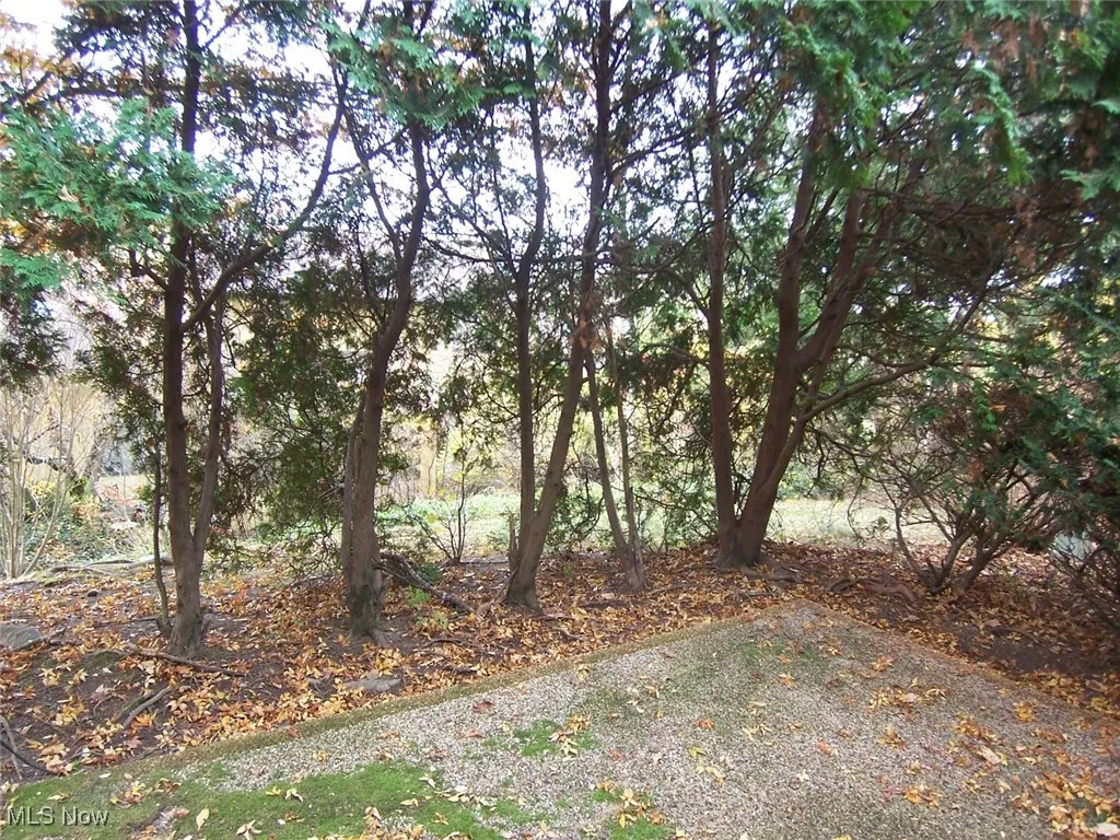 View of yard from back patio