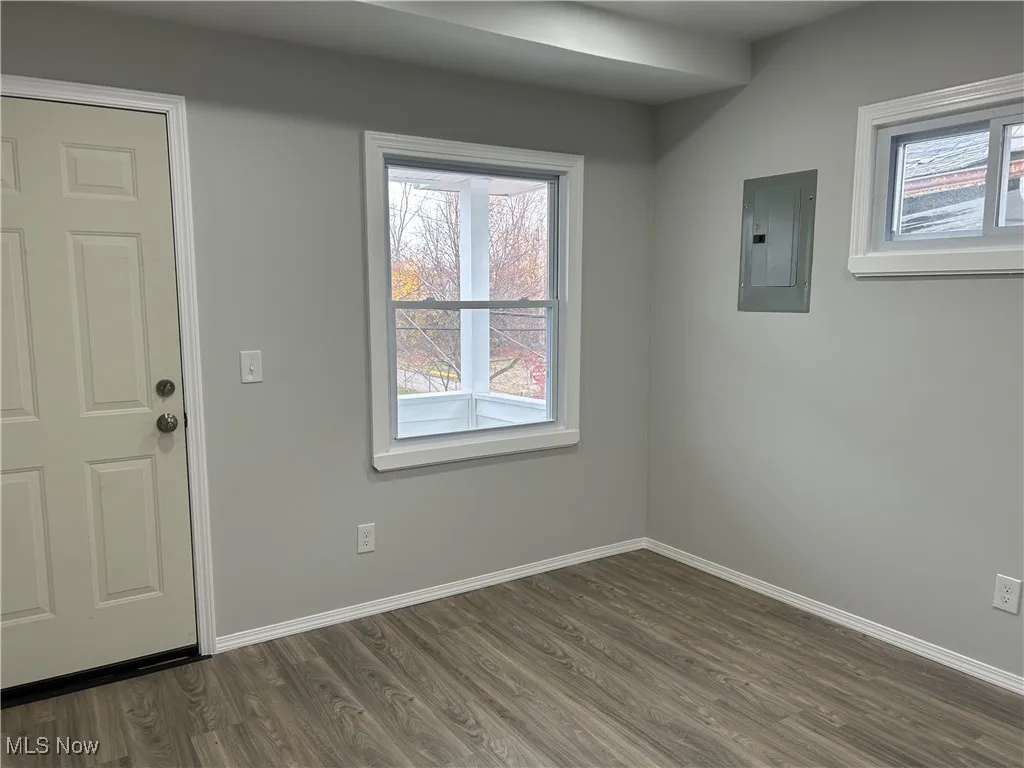 Entrance foyer with electric panel, dark wood finished floors, and plenty of natural light
