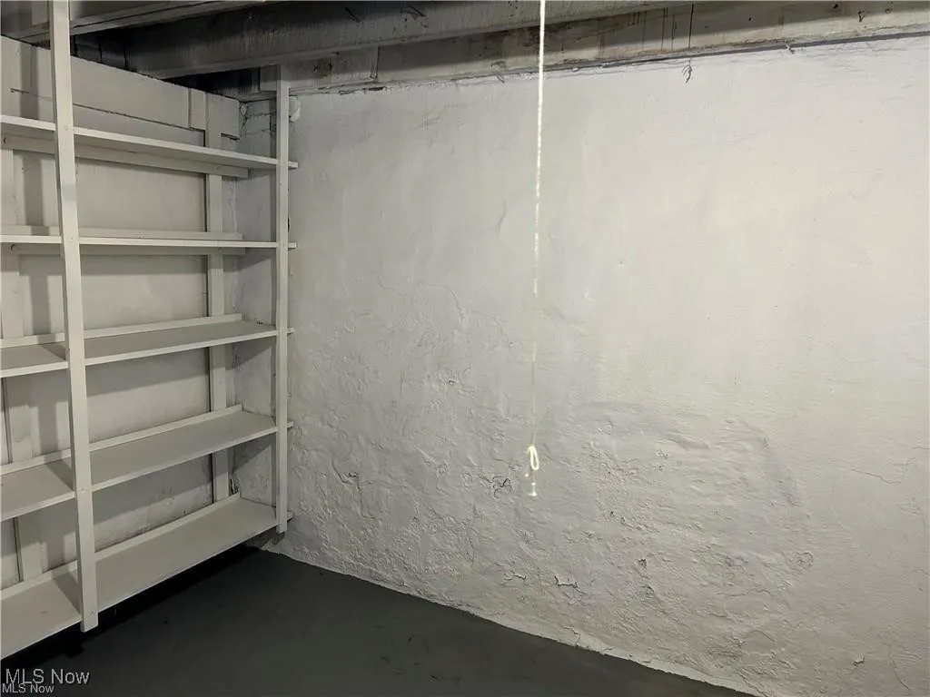 View of unfinished basement