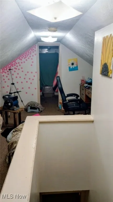 Additional living space featuring carpet floors and lofted ceiling