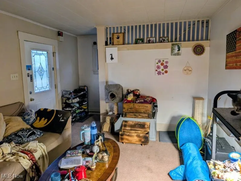 Carpeted living room with crown molding