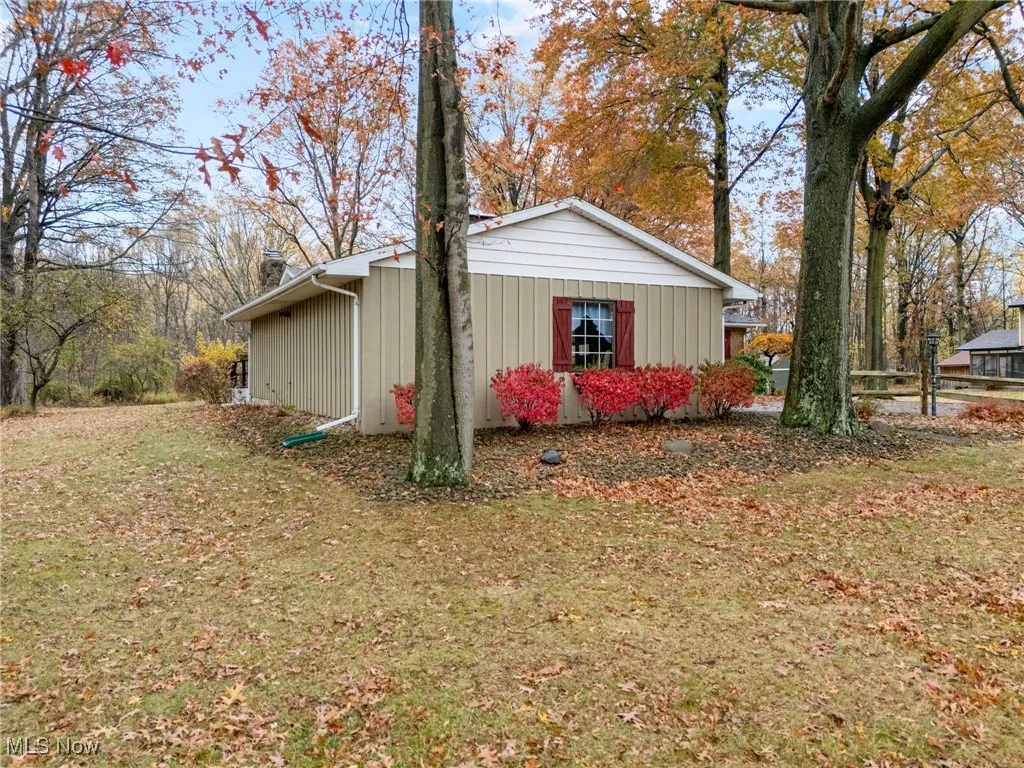 Garage and side yard