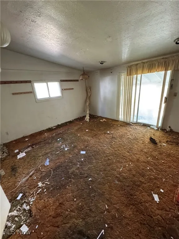 Carpeted spare room featuring a textured ceiling and lofted ceiling