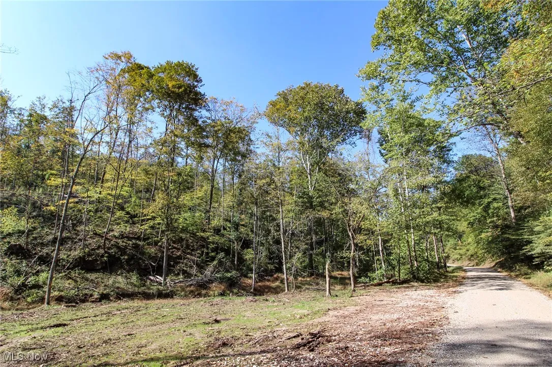 View of road featuring a forest view