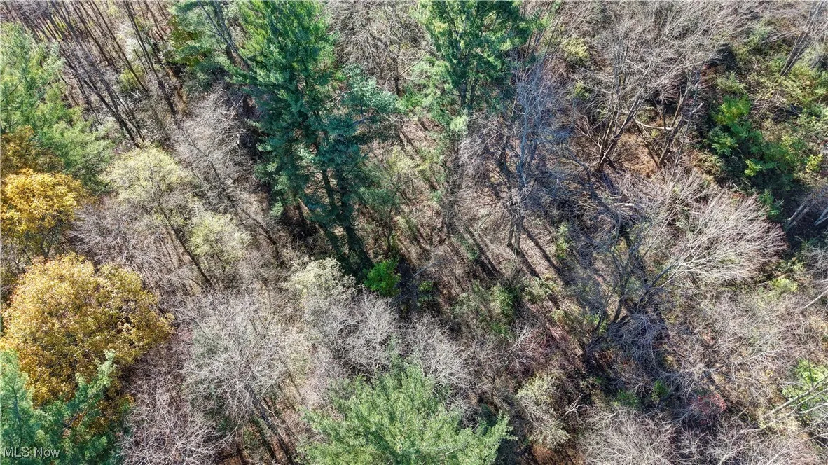 Drone / aerial view of a heavily wooded area