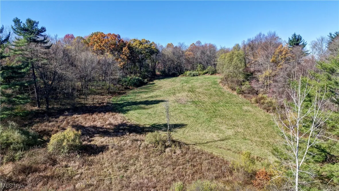 View of green lawn featuring a forest view