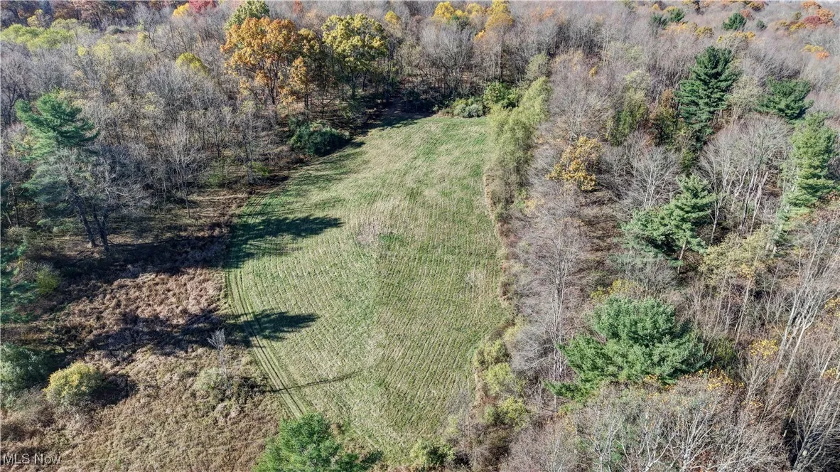 Drone / aerial view of a heavily wooded area