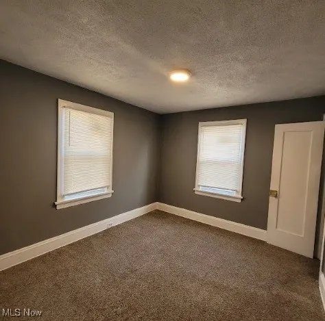 Spare room featuring a textured ceiling, carpet flooring, and healthy amount of natural light