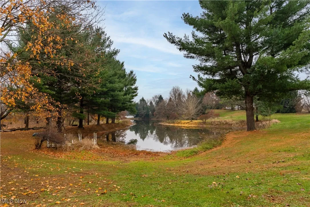 Pond on the property.
