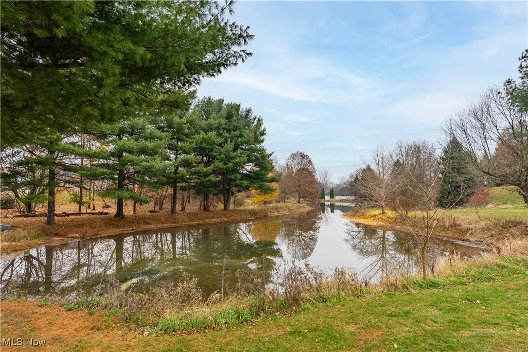 Pond on the property.