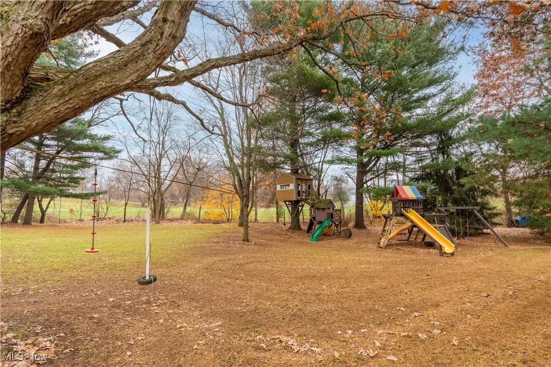 So much outdoor space to play!