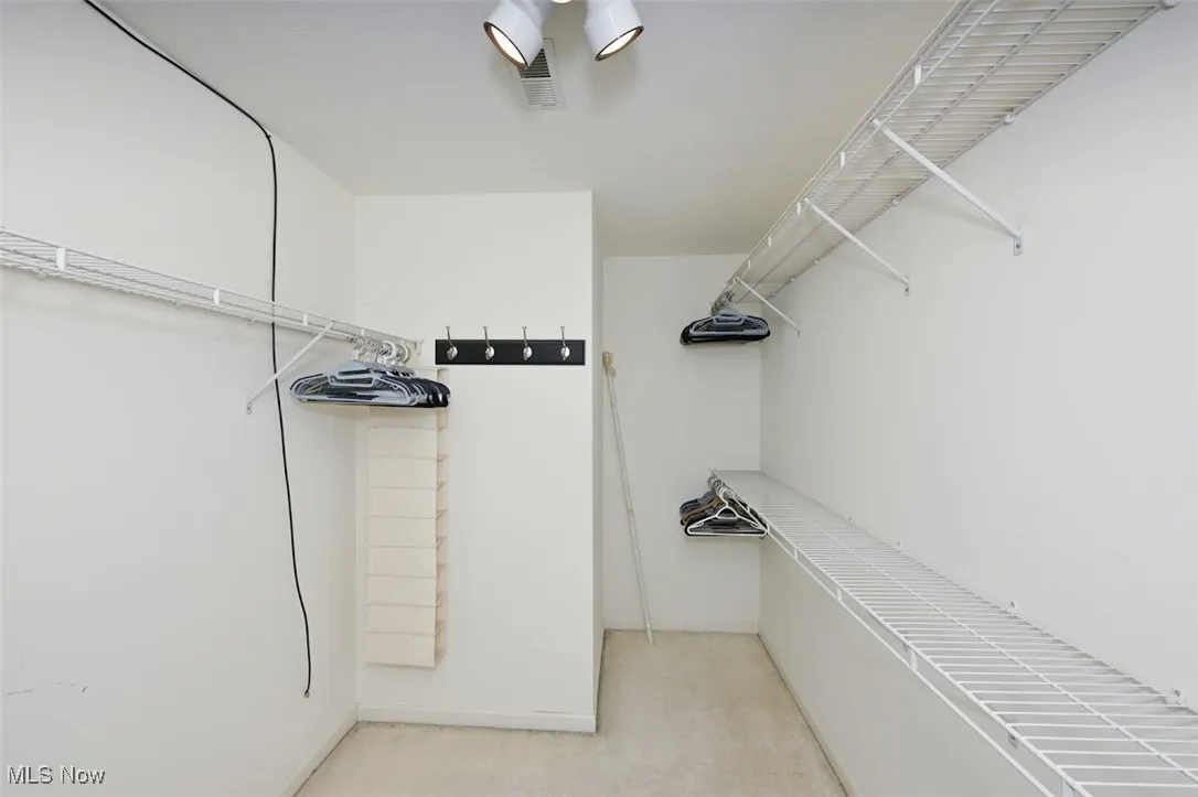 Primary bedroom Walk in closet featuring light colored carpet