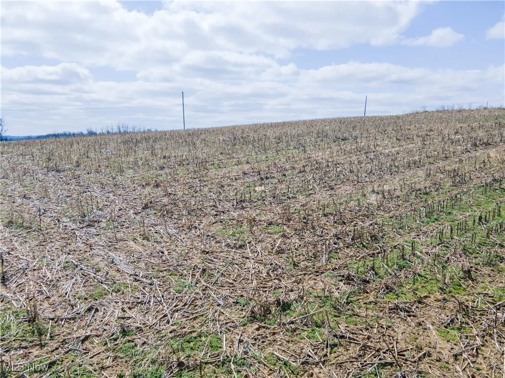 Norfield Road, New Concord, Ohio 43762,MLS Now Listing ID