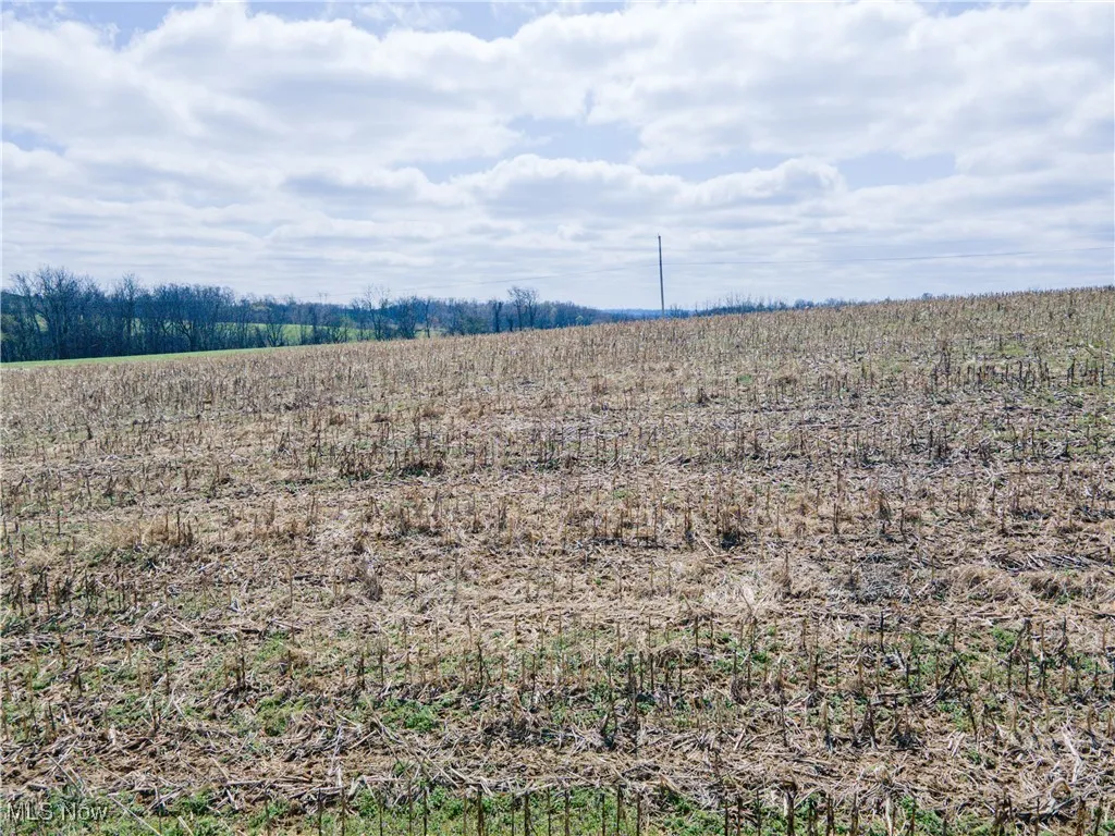 Norfield Road, New Concord, Ohio 43762,MLS Now Listing ID