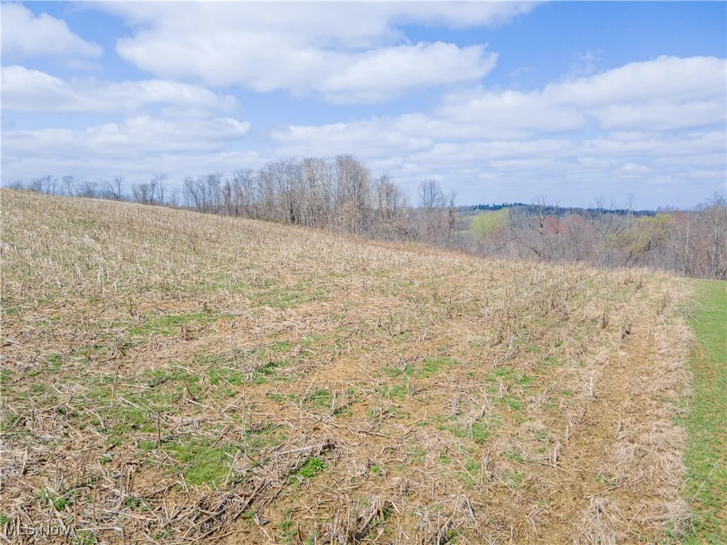 Norfield Road, New Concord, Ohio 43762,MLS Now Listing ID