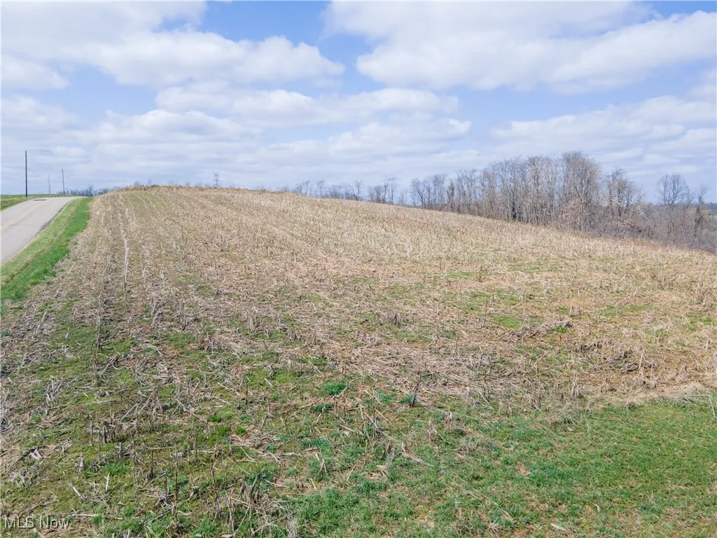 Norfield Road, New Concord, Ohio 43762,MLS Now Listing ID