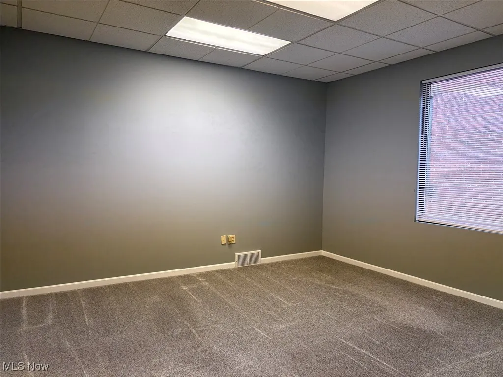 Spare room with carpet flooring and a drop ceiling