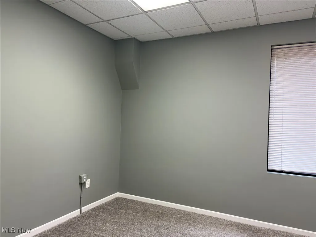 Spare room featuring carpet and a paneled ceiling