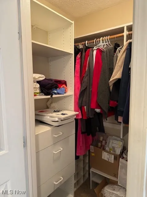 View of walk in closet