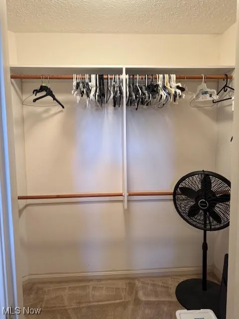 Spacious closet with carpet floors