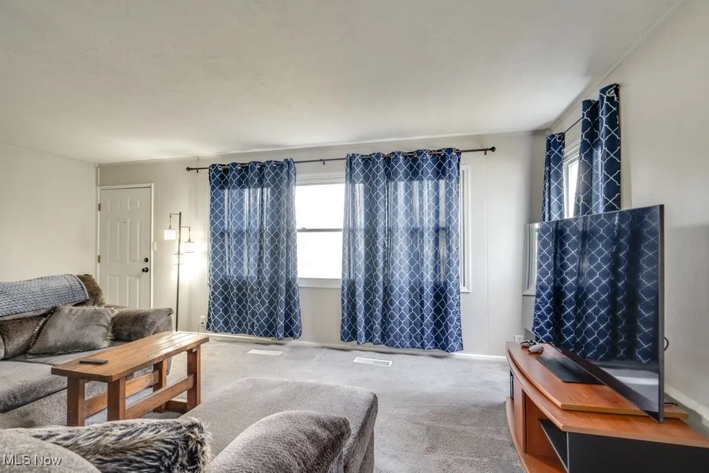 Living area with carpet