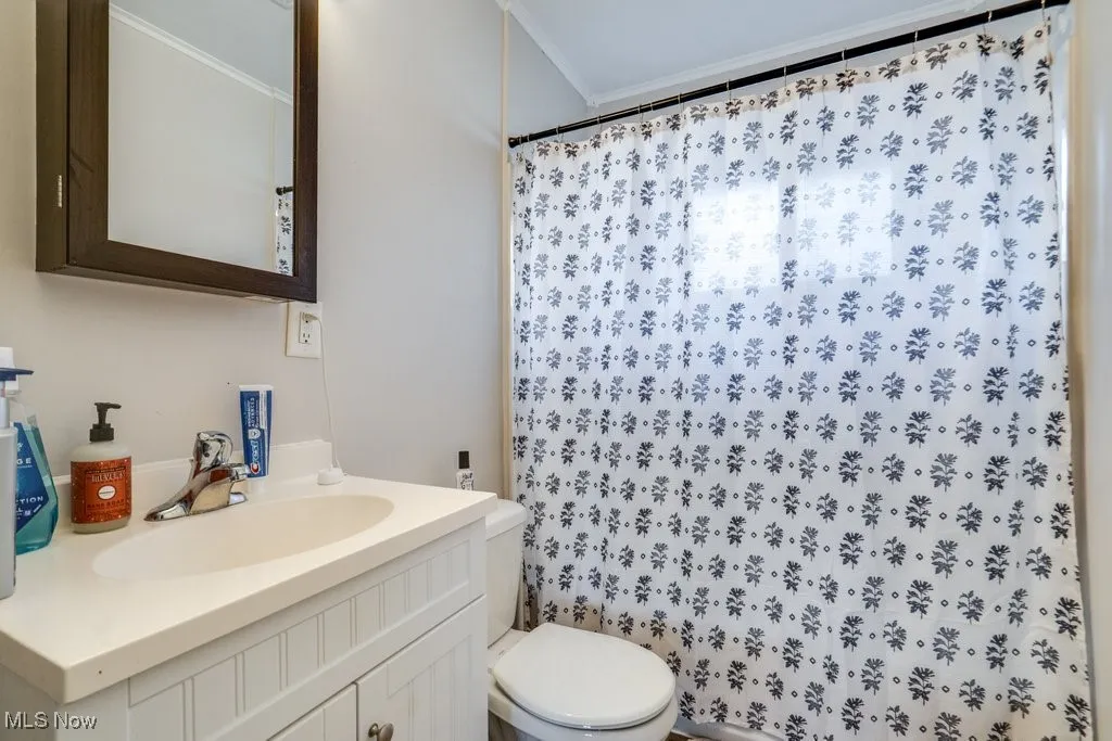 Bathroom featuring crown molding, a shower with curtain, and vanity