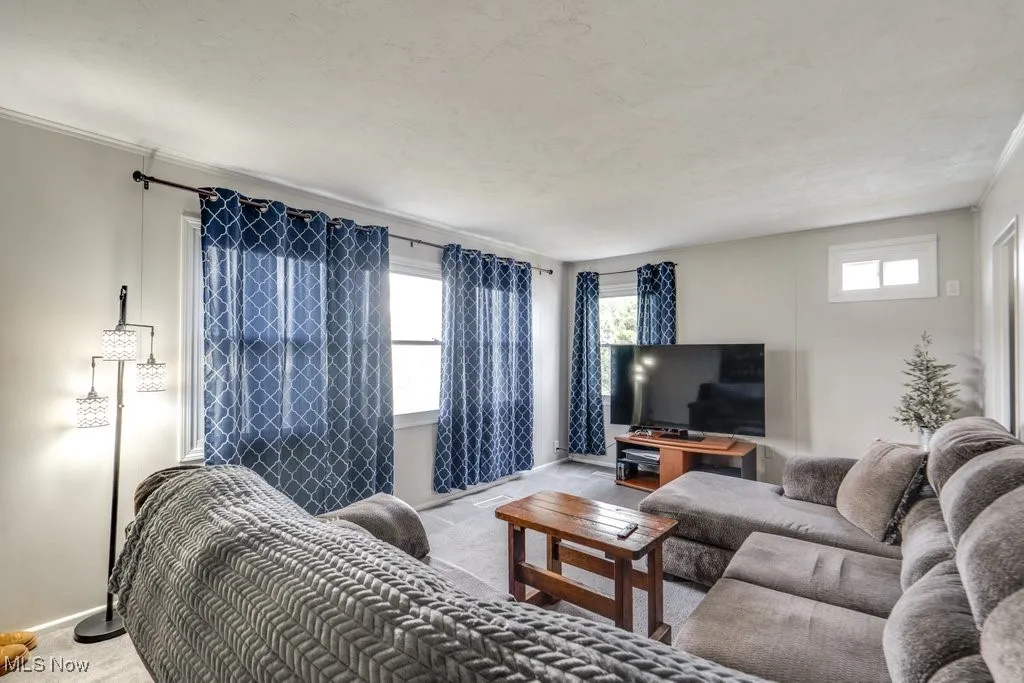 Carpeted living room with crown molding and baseboards