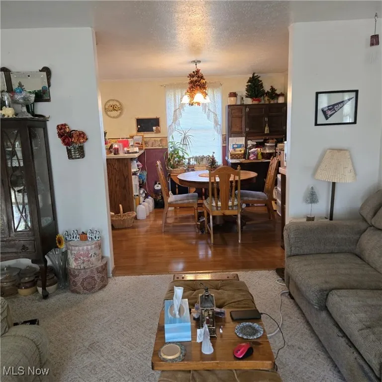 LIVING ROOM LOOKING INTO DINING AREA.